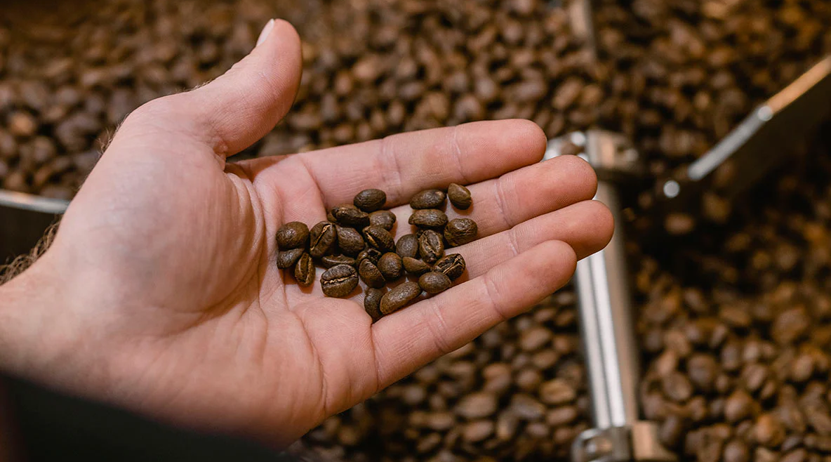 Coffee Beans