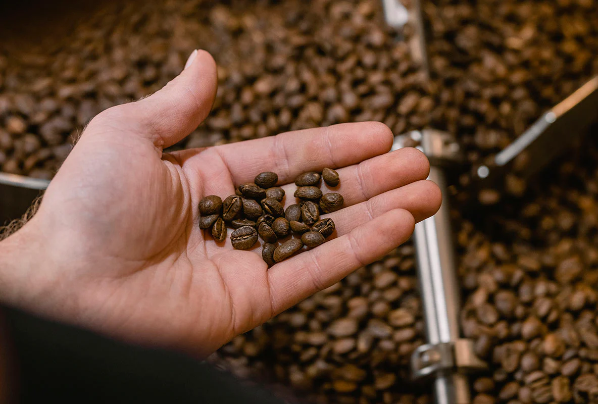 Terbodore | Great Dane Coffee